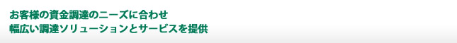 お客様の資金調達のニーズに合わせ幅広い調達ソリューションをサービスを提供